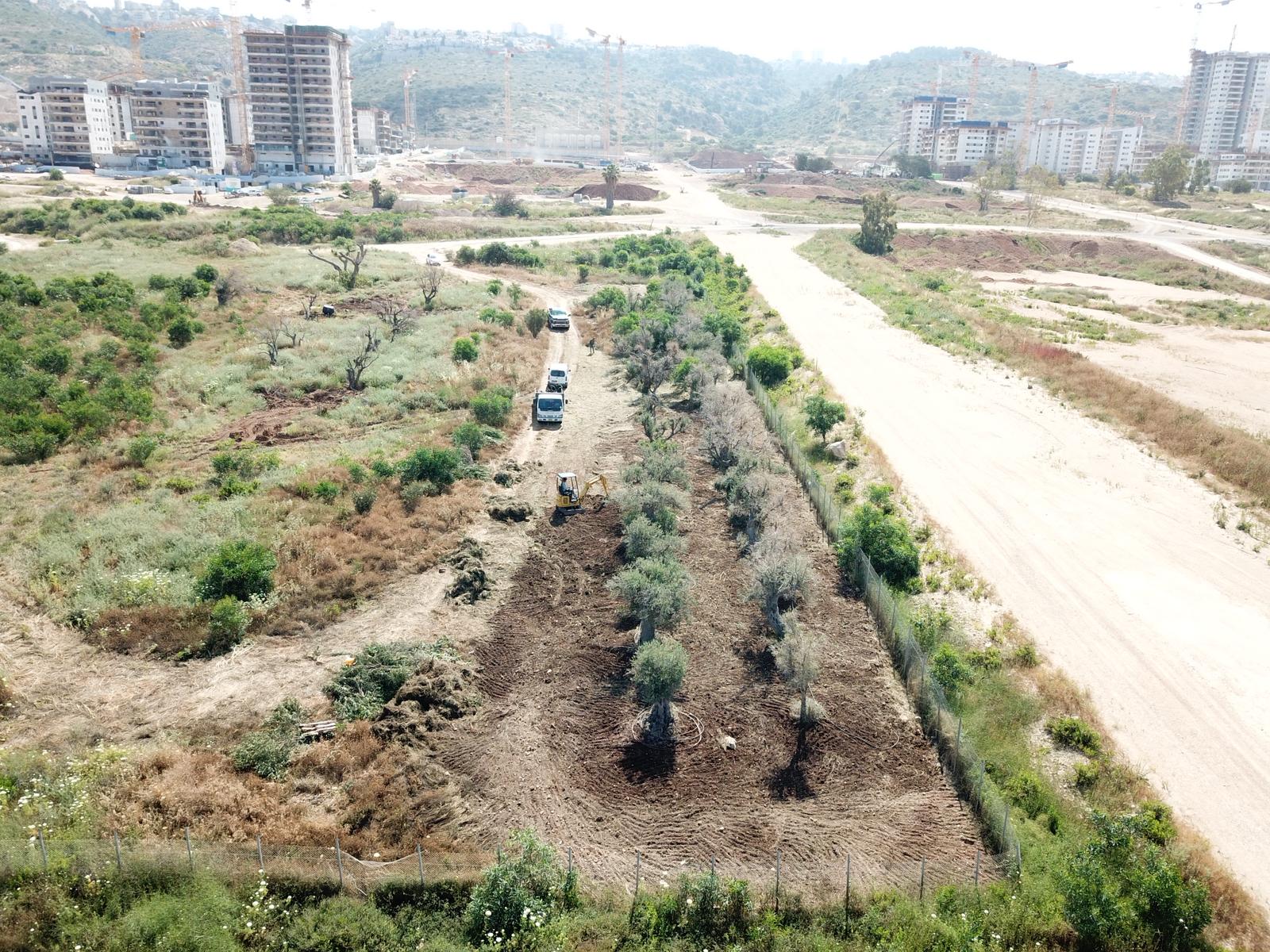 מבט אווירי על אתר בנייה שבו נראים מספר כלי רכב חונים, שטח שנפנה בחלקו, ושורת עצים במרכזו. ברקע נראים מבנים ומנופים.